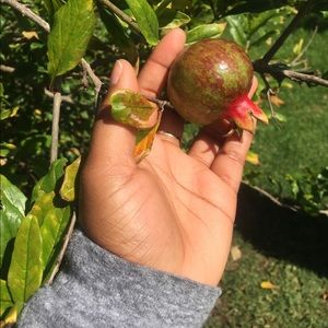 Meet your Posher, Reanna